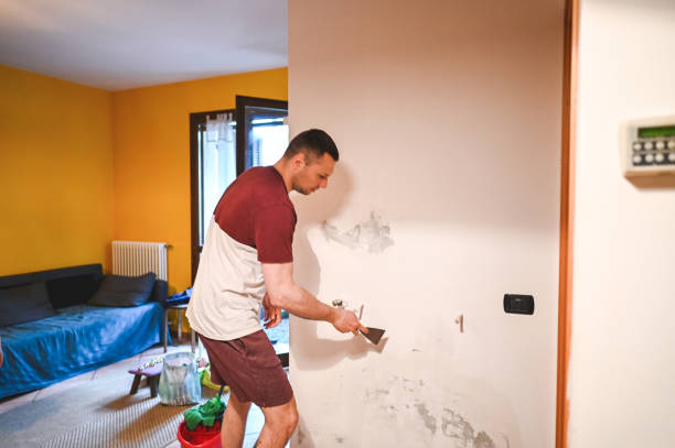 Best Black Mold Removal  in Pearson, GA