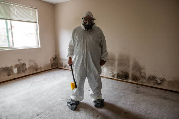 Mold Removal Process in Pearson, GA